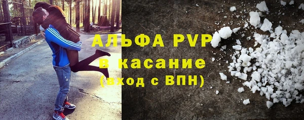 сатива Россошь