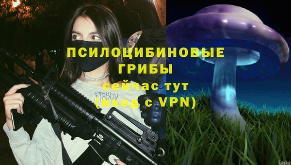 мяу мяу мука Няндома