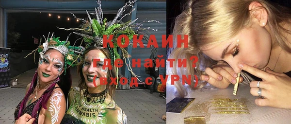 apvp Новозыбков
