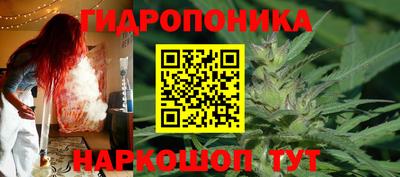 прущие крисы Будённовск