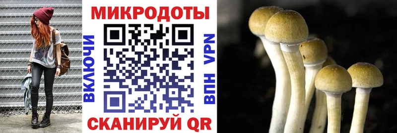блэк спрут зеркало Новодвинск Галлюциногенные грибы мухоморы