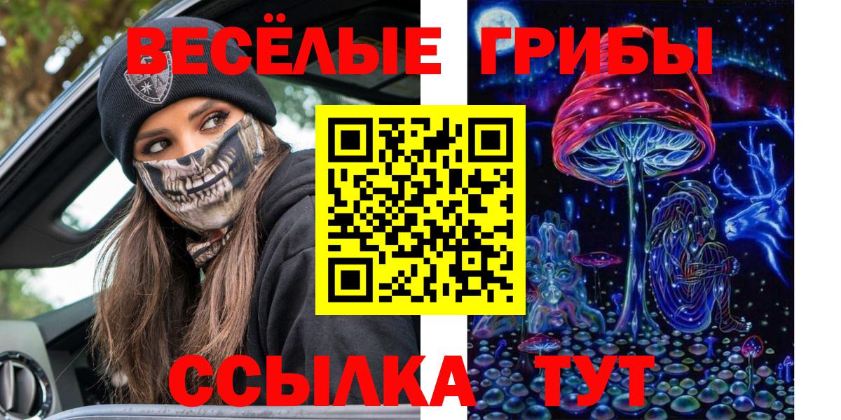 Галлюциногенные грибы Psilocybine cubensis  Новодвинск 