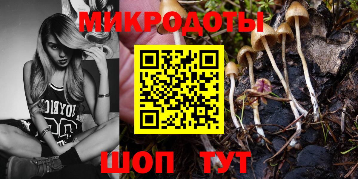 Галлюциногенные грибы Magic Shrooms Новодвинск
