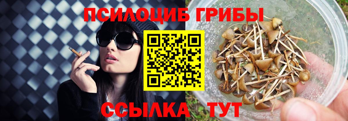 где купить   Вход с VPN  Галлюциногенные грибы MAGIC MUSHROOMS  Новодвинск  Галлюциногенные грибы мухоморы 